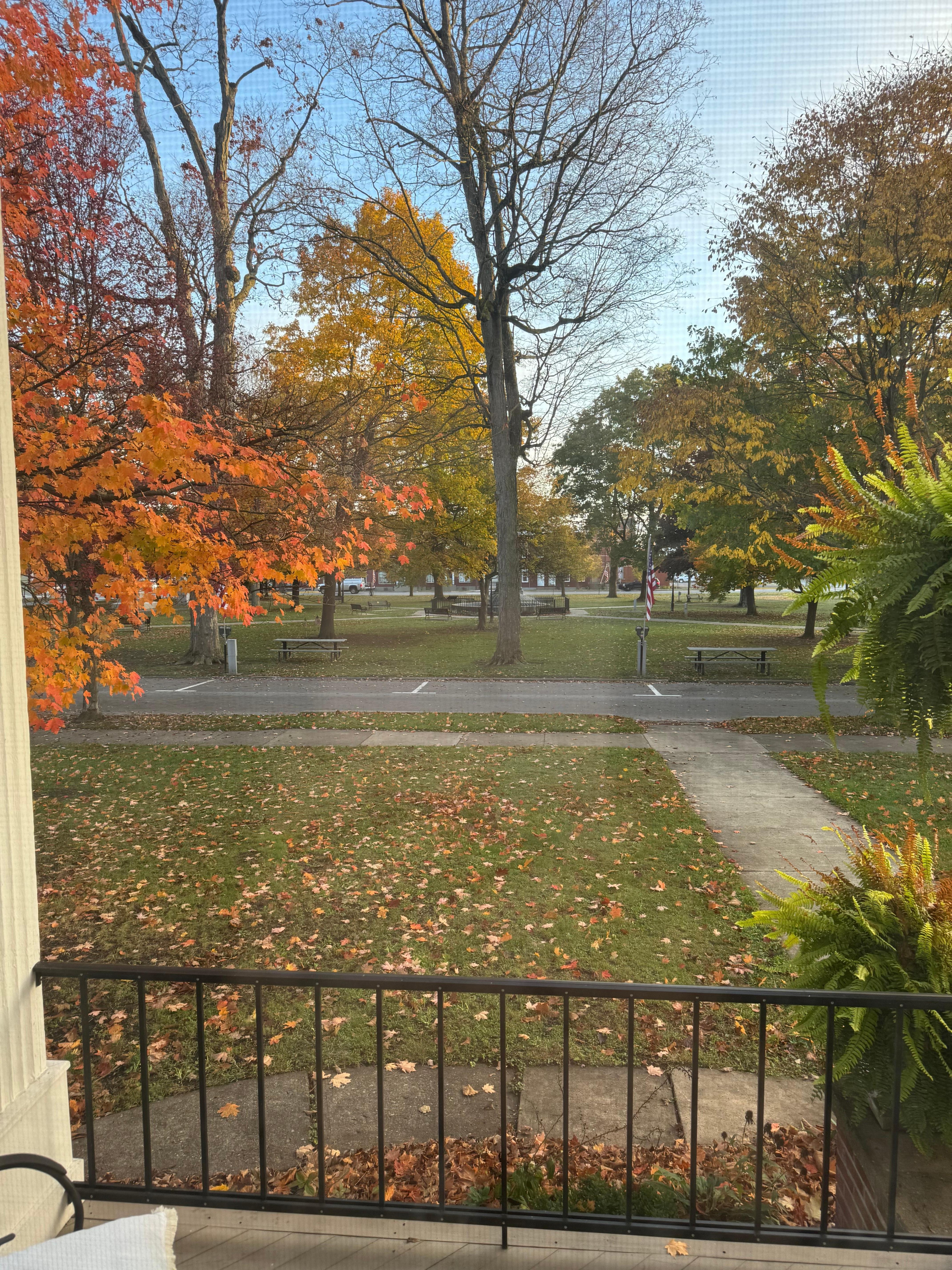 A view from the living room 😊