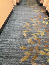Random debris throughout hallway