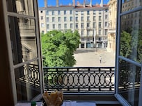 view from dining