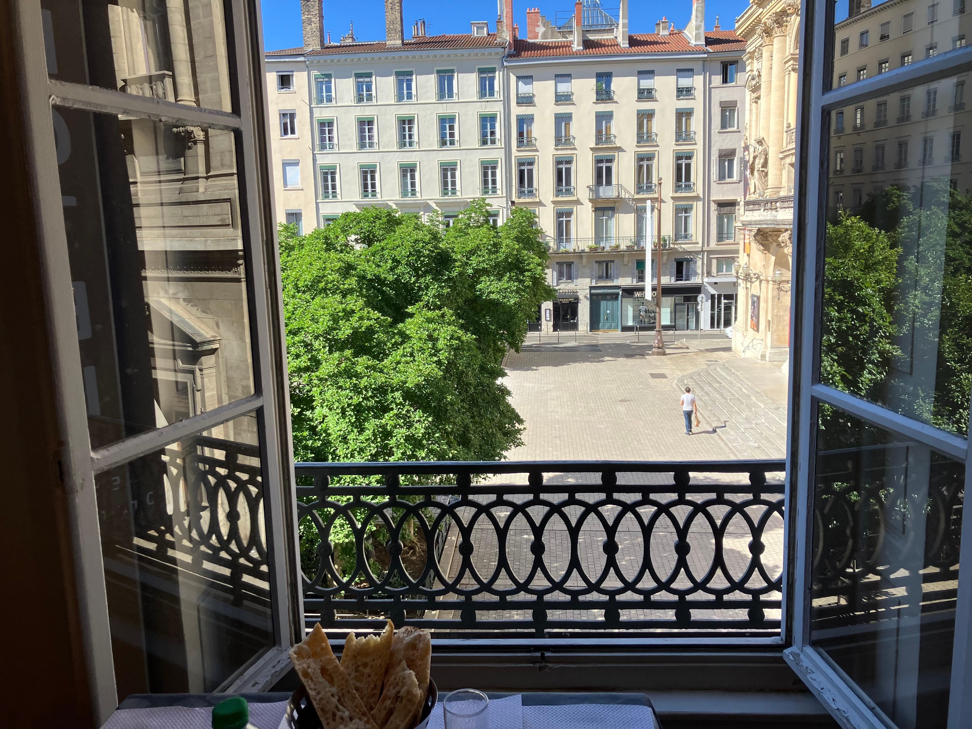 view from dining