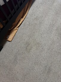 Stained carpet