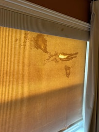 Stained window shade