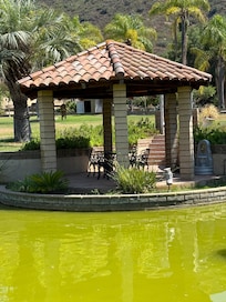 Gazebo and pond