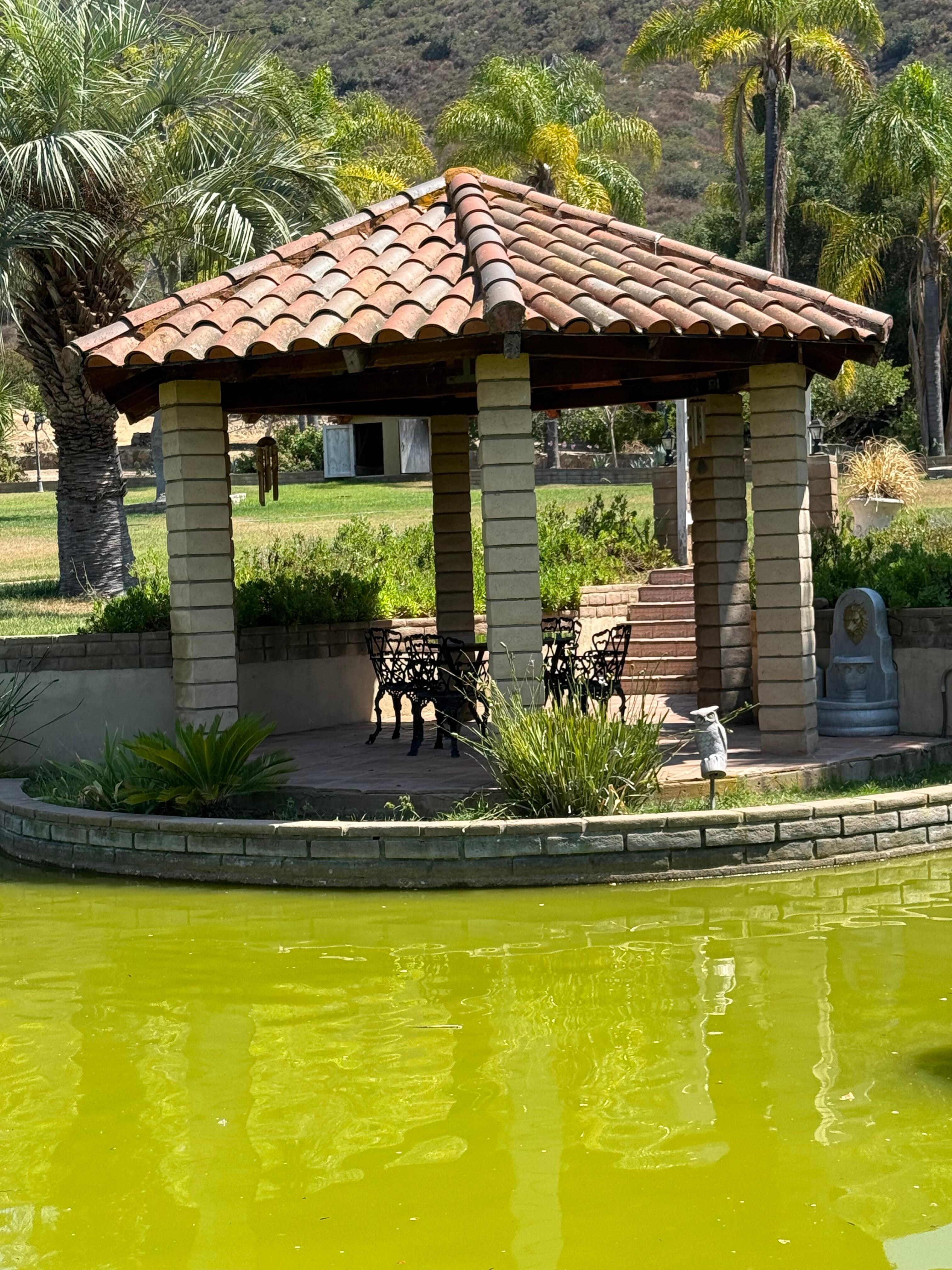 Gazebo and pond
