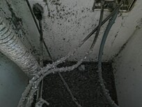Behind the dryer. The vent line was disconnected and dryer lint was everywhere and the dryer was plugged up