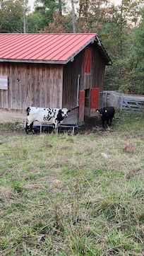 A couple of the locals.