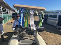 A very successful weekend at The Woodside Horsepark