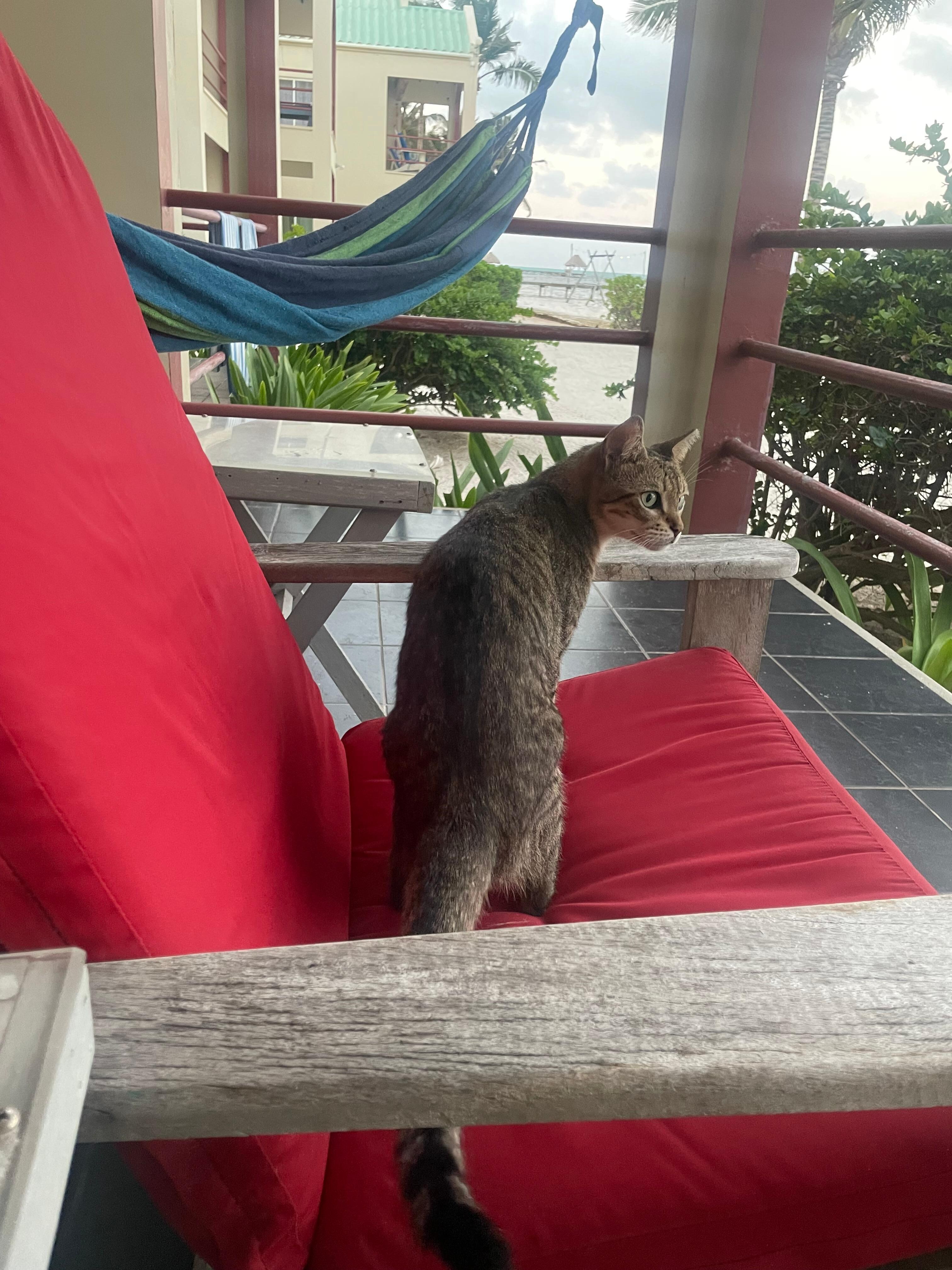 A visitor 