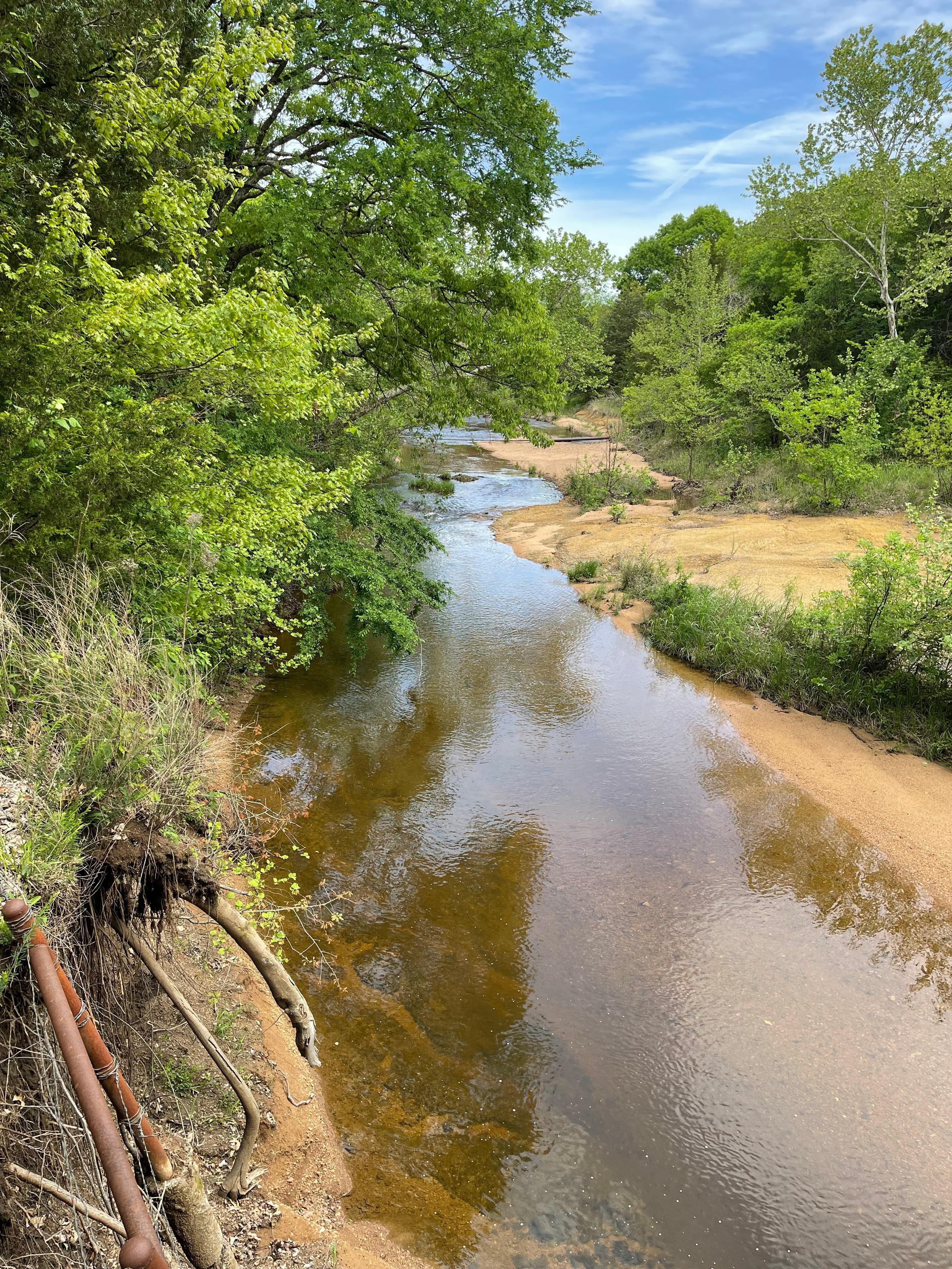 The creek next to the cabin.