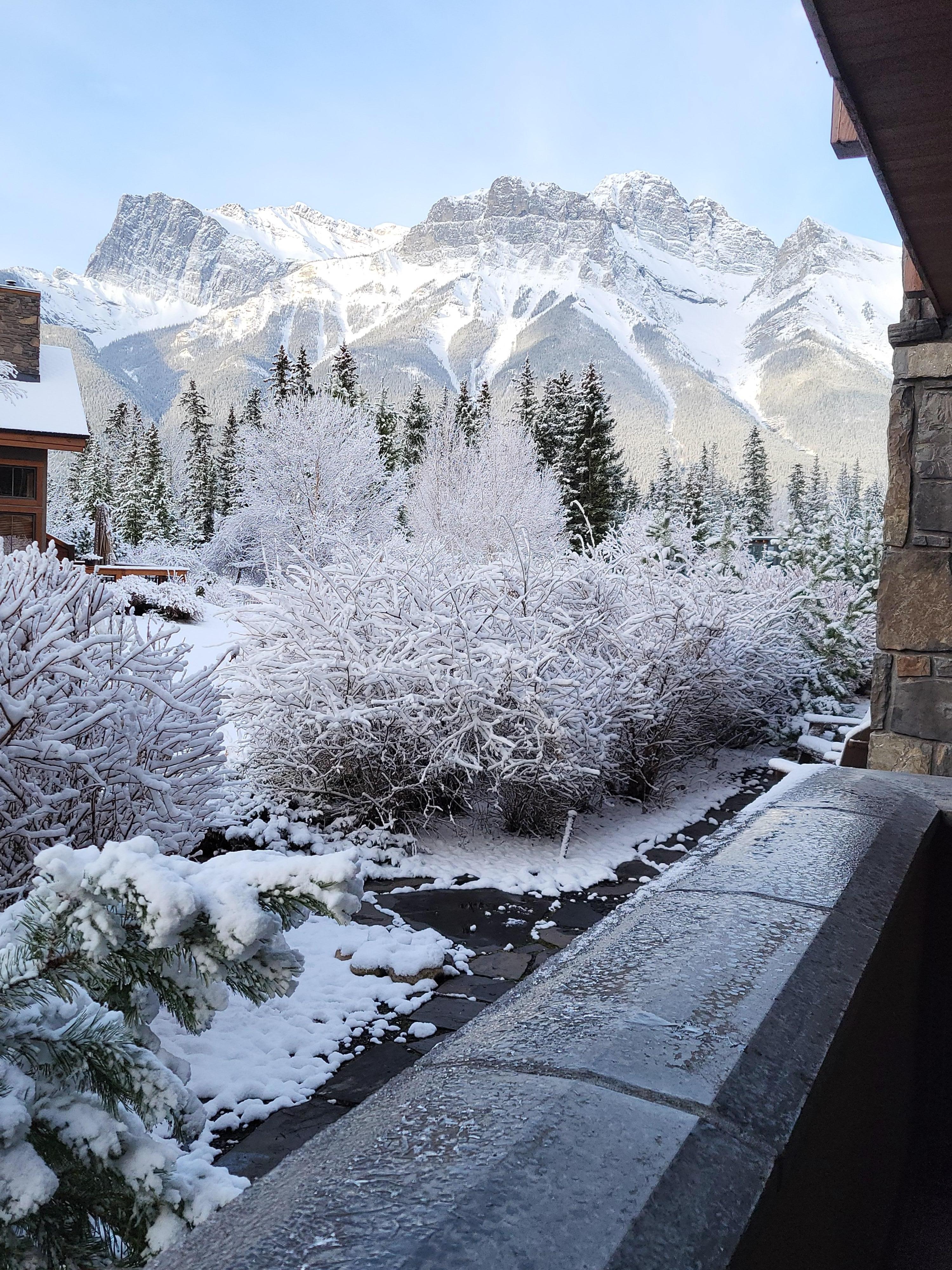 View from the property.