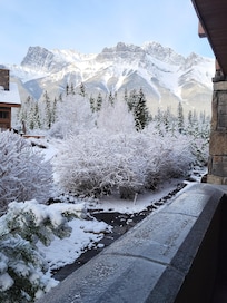 View from the property.