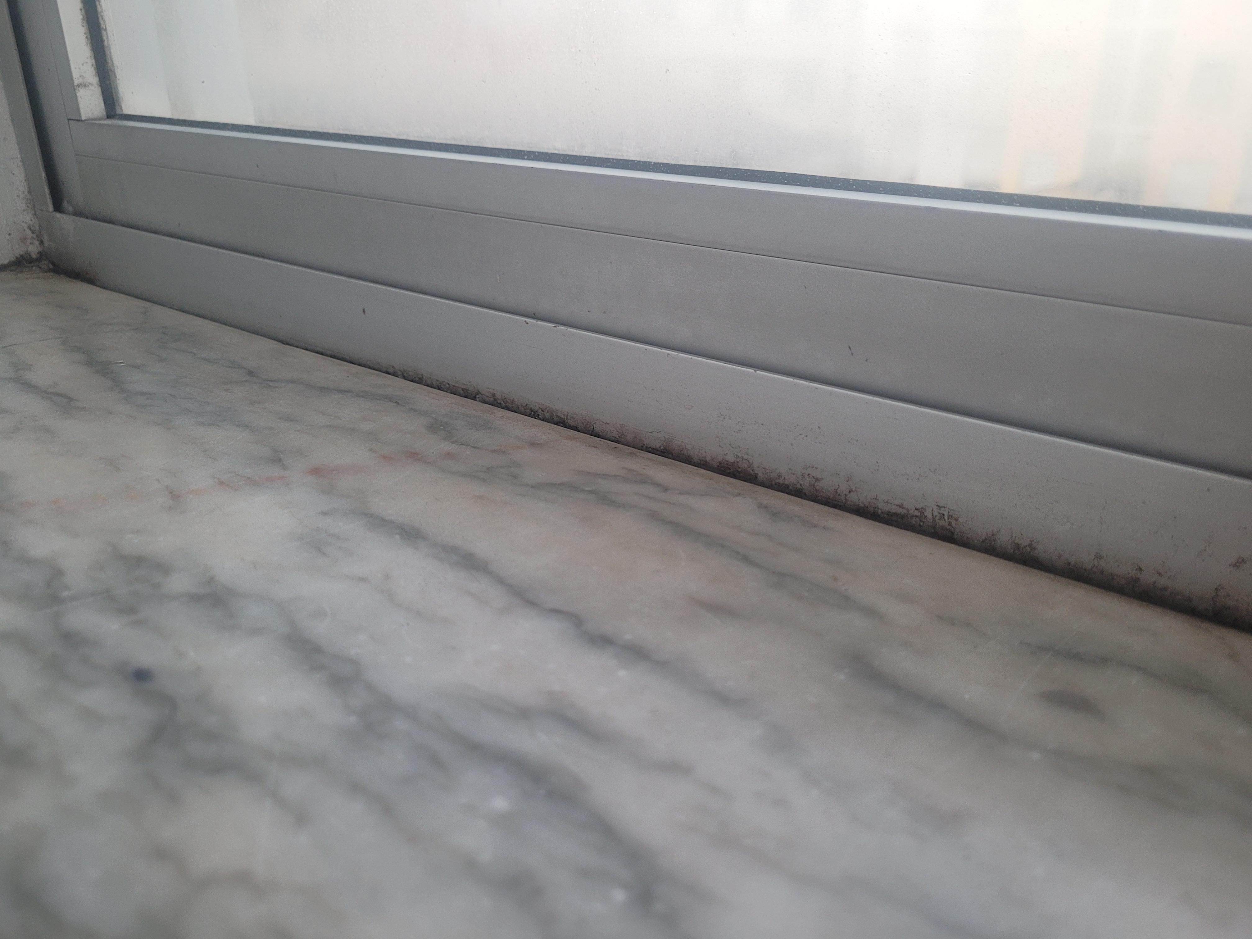 Mold on window