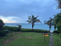 Back yard view
