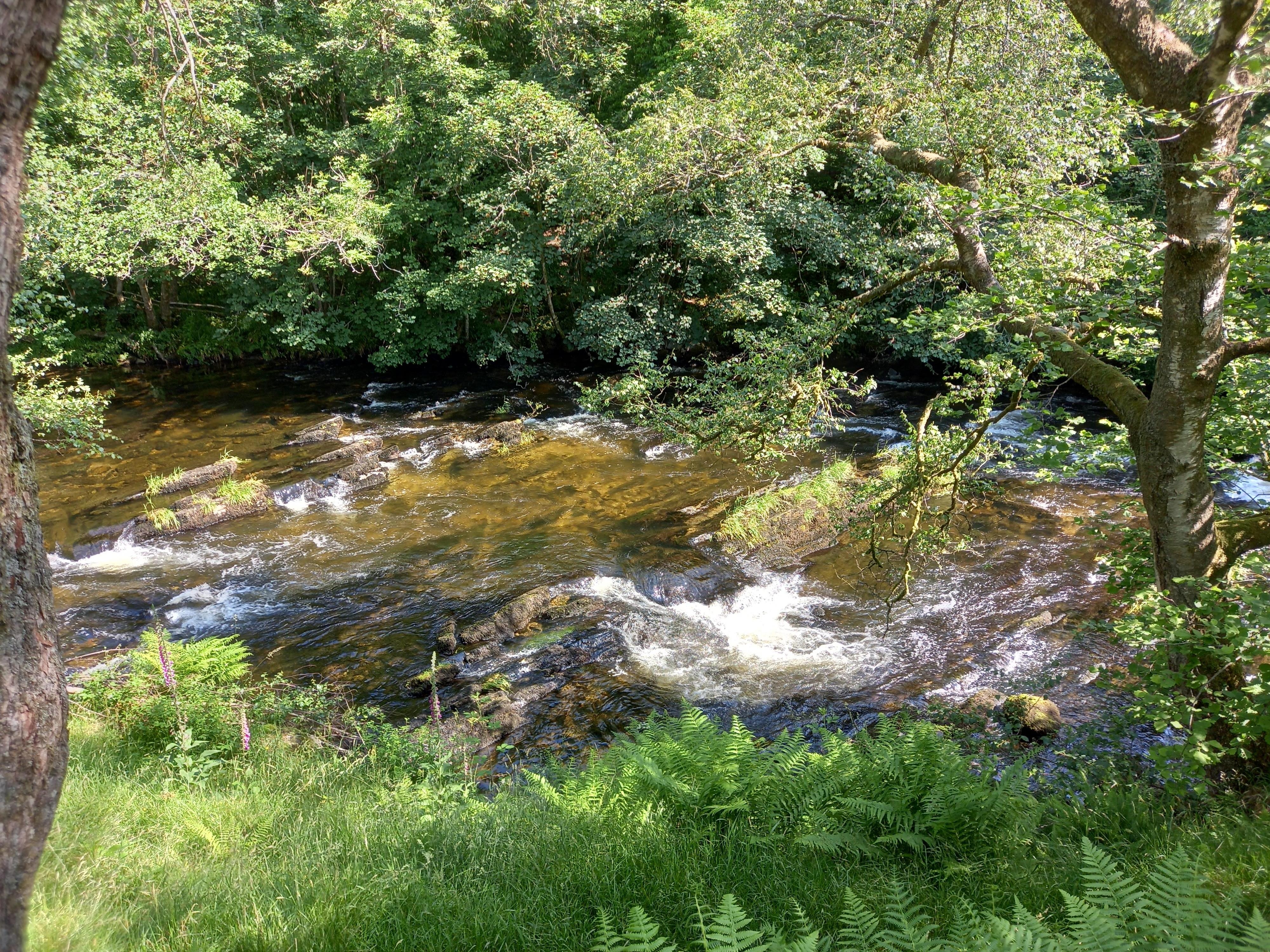 Lovely scenery and walking areas