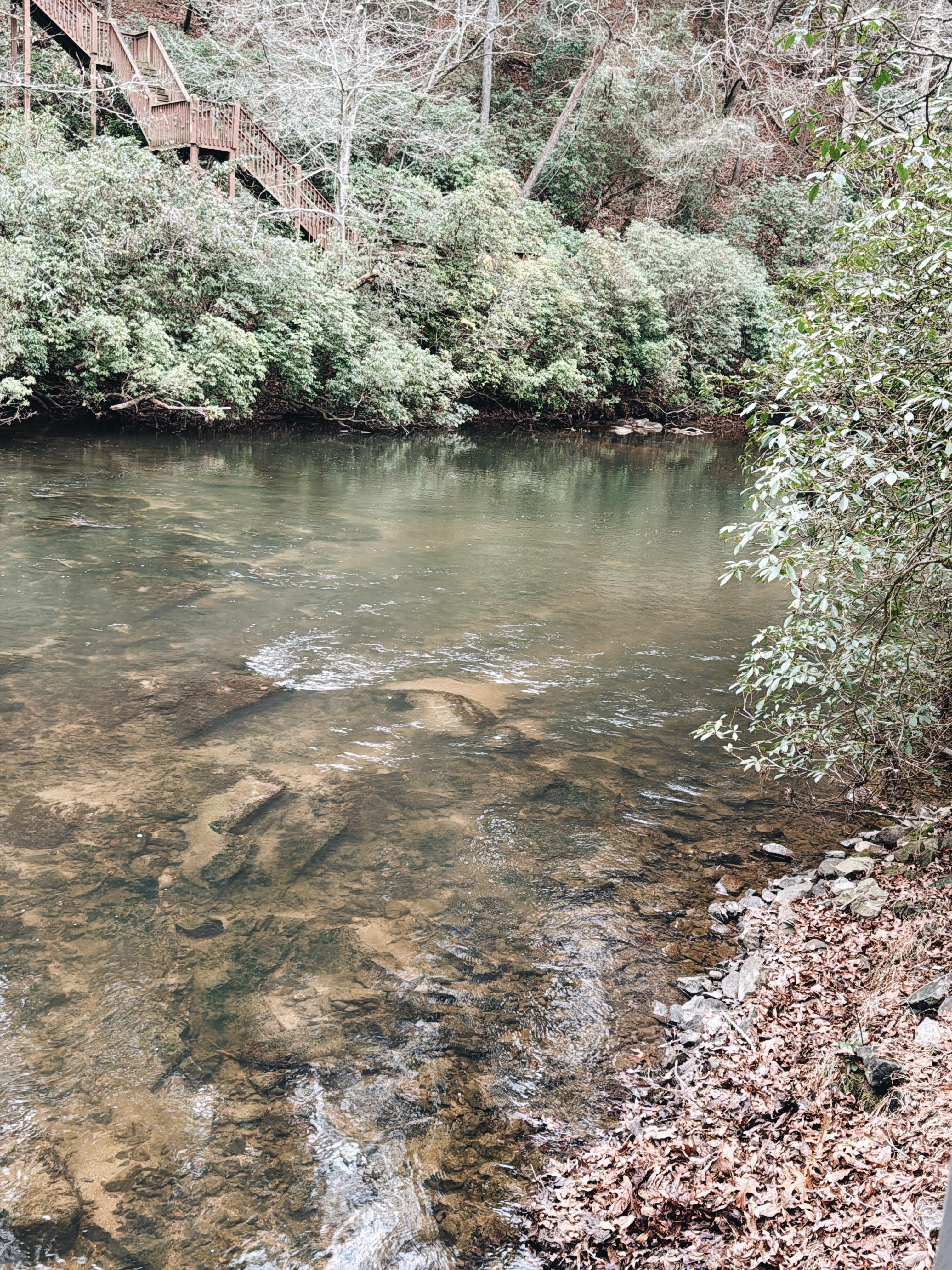 We really enjoyed being on the water. 