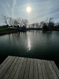 Perfect spot to fish