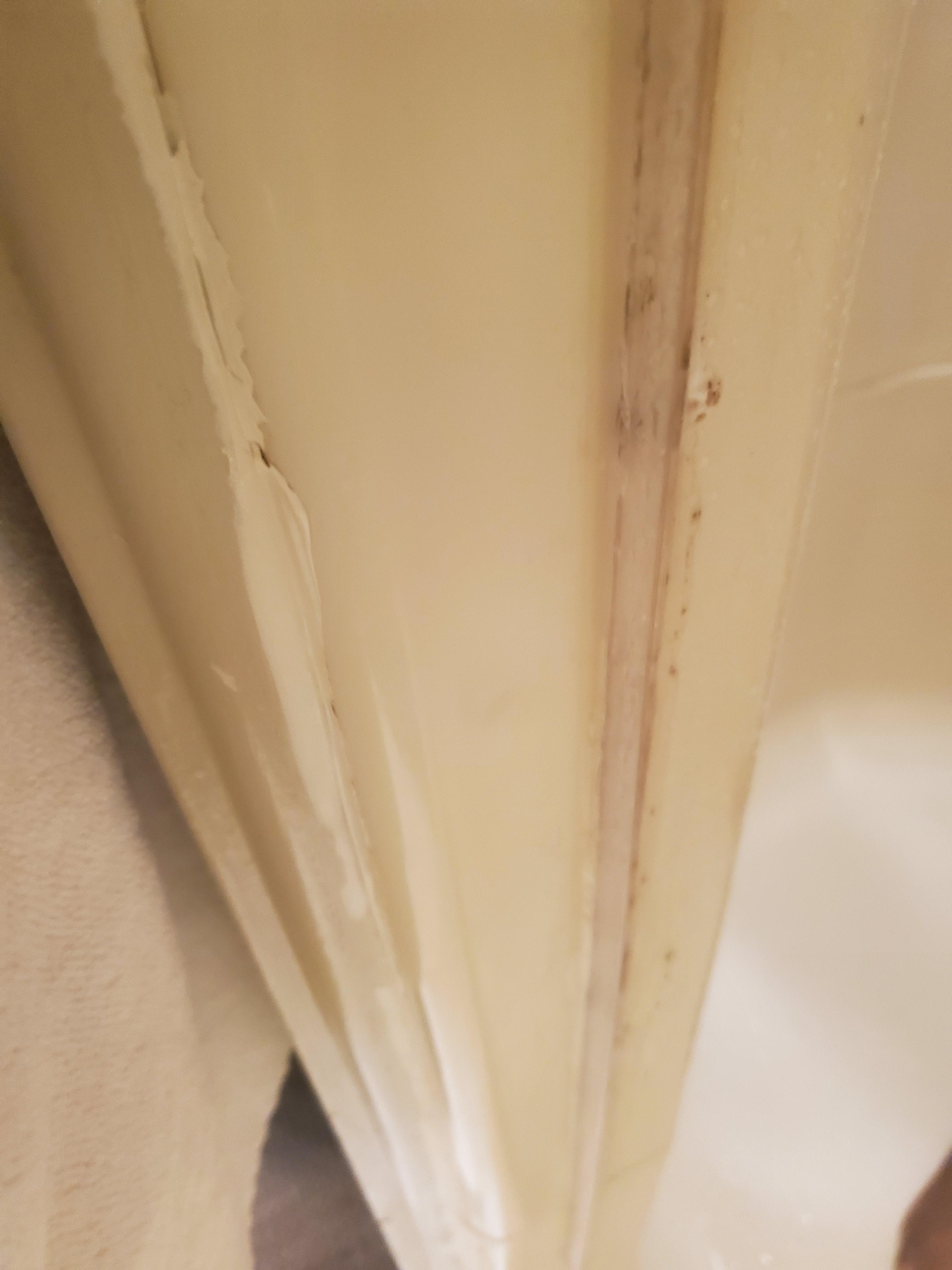 Mold