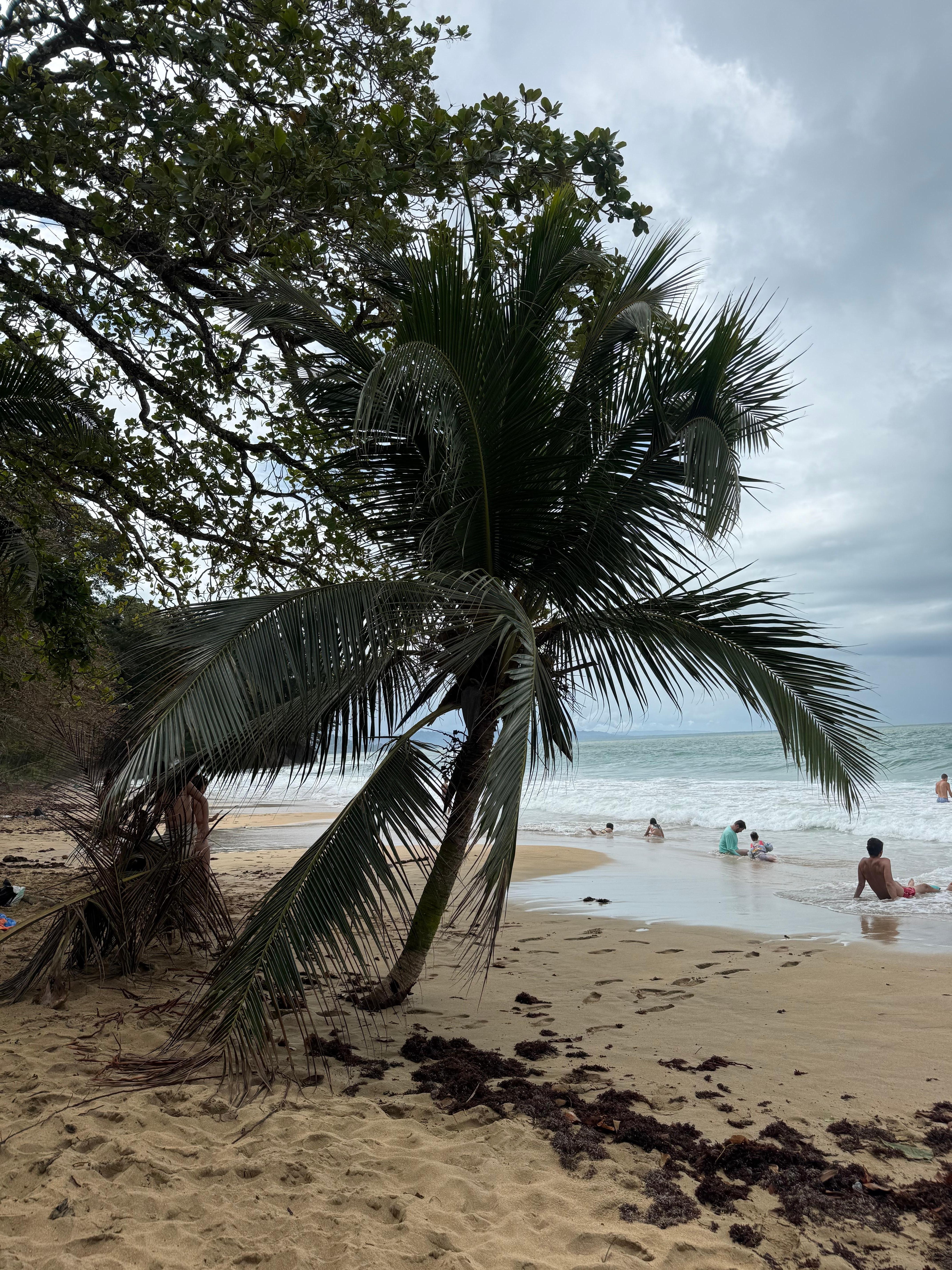 This is what the beach is like