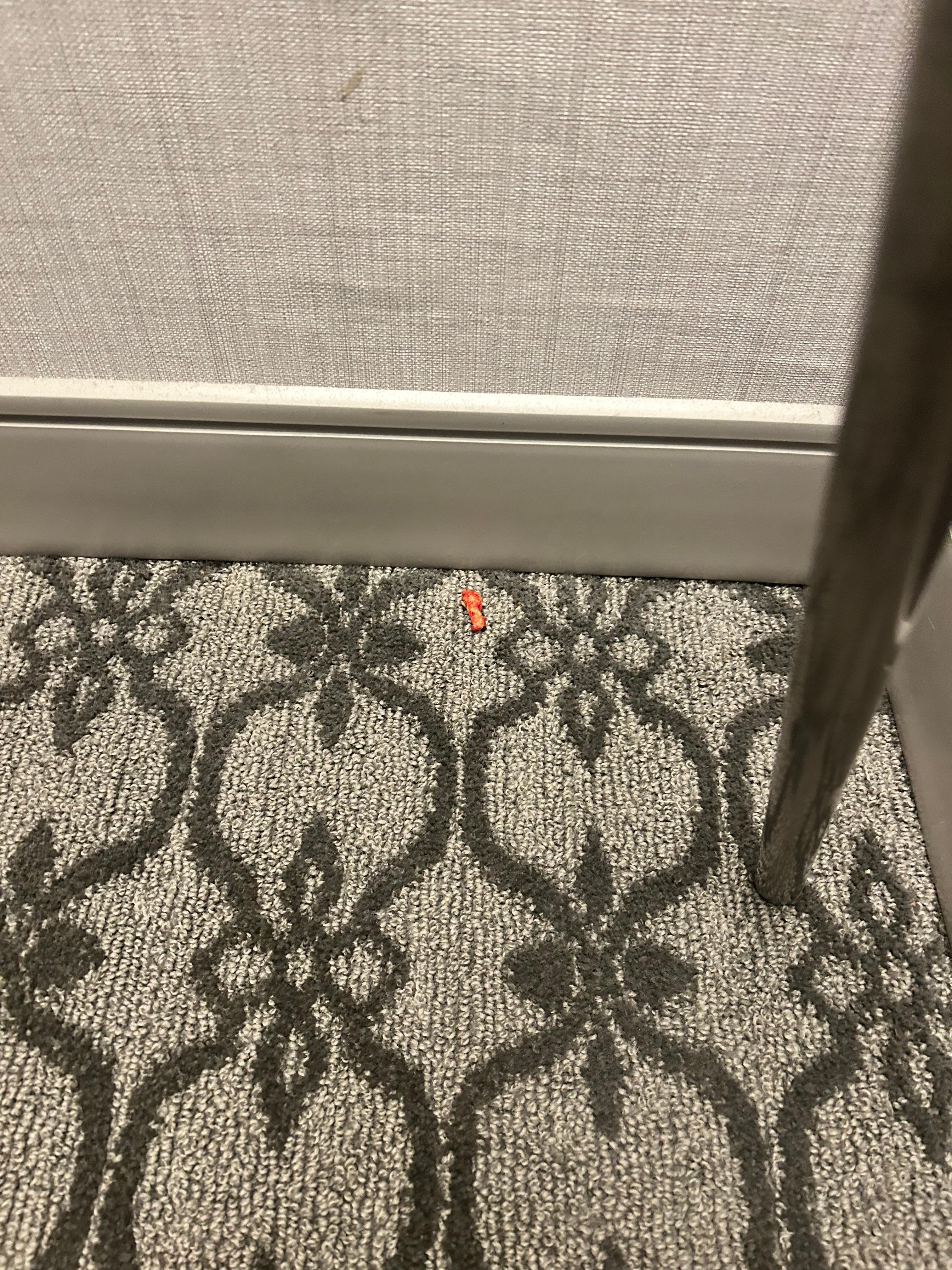 Cheeto on the ground. I picked the rest up and threw them away-and then I thought I should probably take a picture.