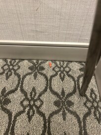 Cheeto on the ground. I picked the rest up and threw them away-and then I thought I should probably take a picture.