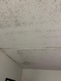 Mold