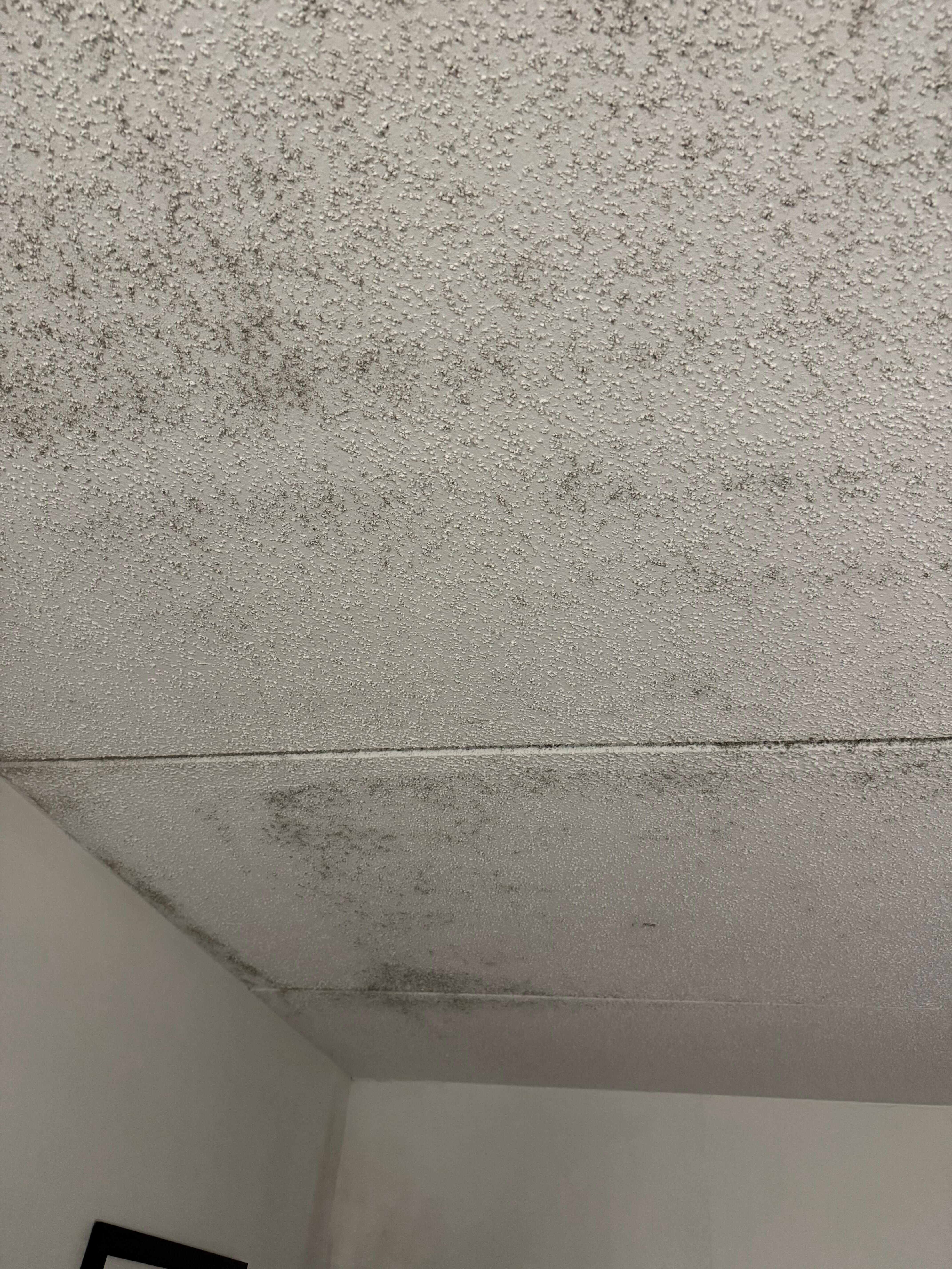 Mold