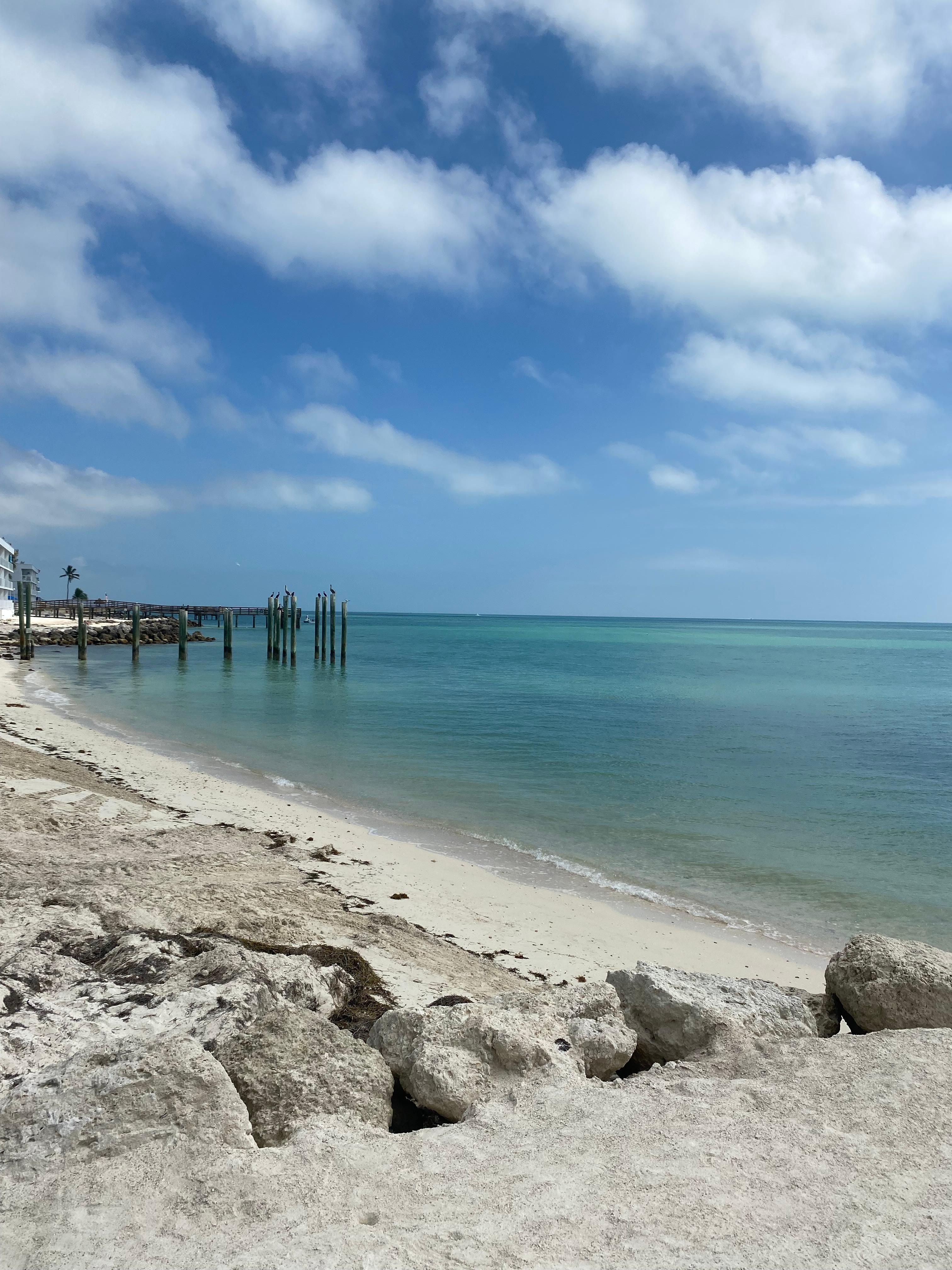 Direct view from room!