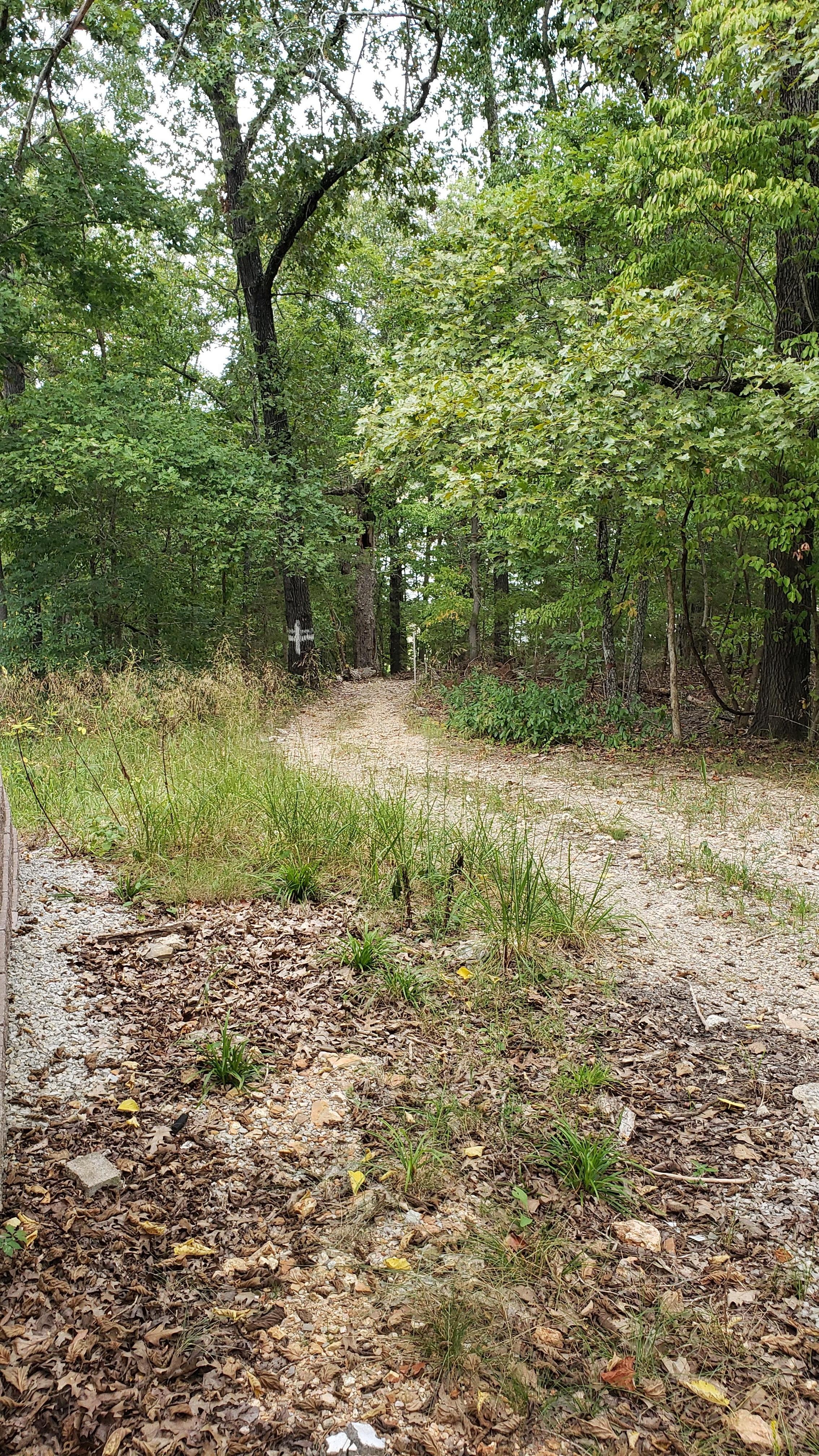 This is part of the short walk to the dock. Wear good shoes. Uneven loose rocks basically throught.