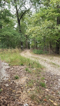 This is part of the short walk to the dock. Wear good shoes. Uneven loose rocks basically throught.