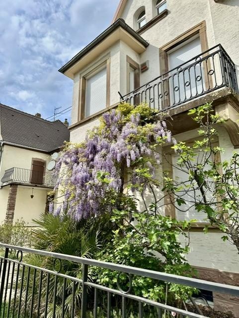 Front of house with wisteria