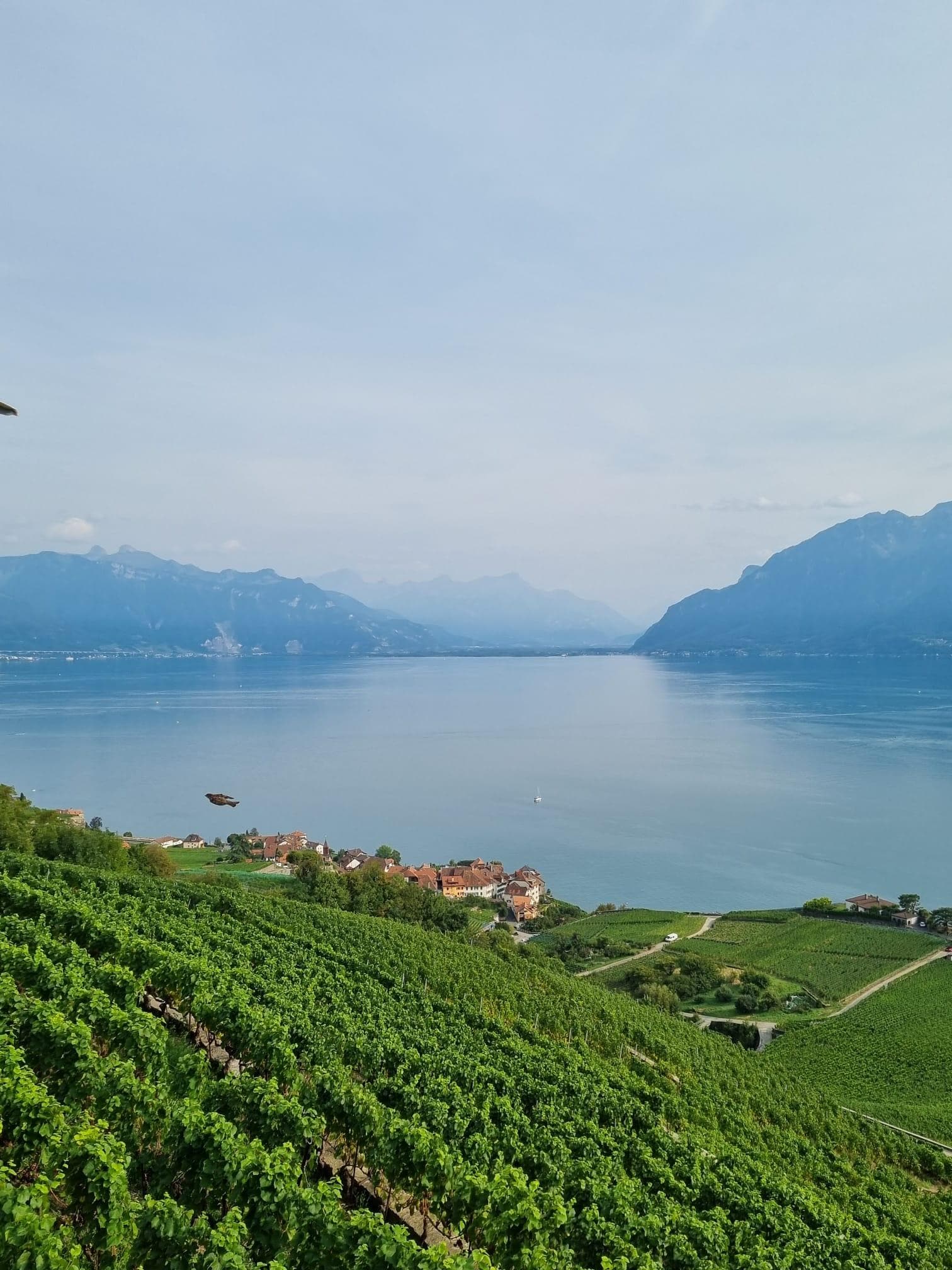 Blick auf den Genfersee, Richtung Wallis - nur Teil des ganzen 270 Grad Panoramas