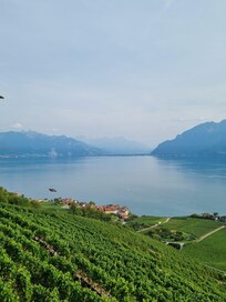 Blick auf den Genfersee, Richtung Wallis - nur Teil des ganzen 270 Grad Panoramas
