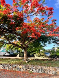 Take a picture here! It’s more beautiful in person!!!