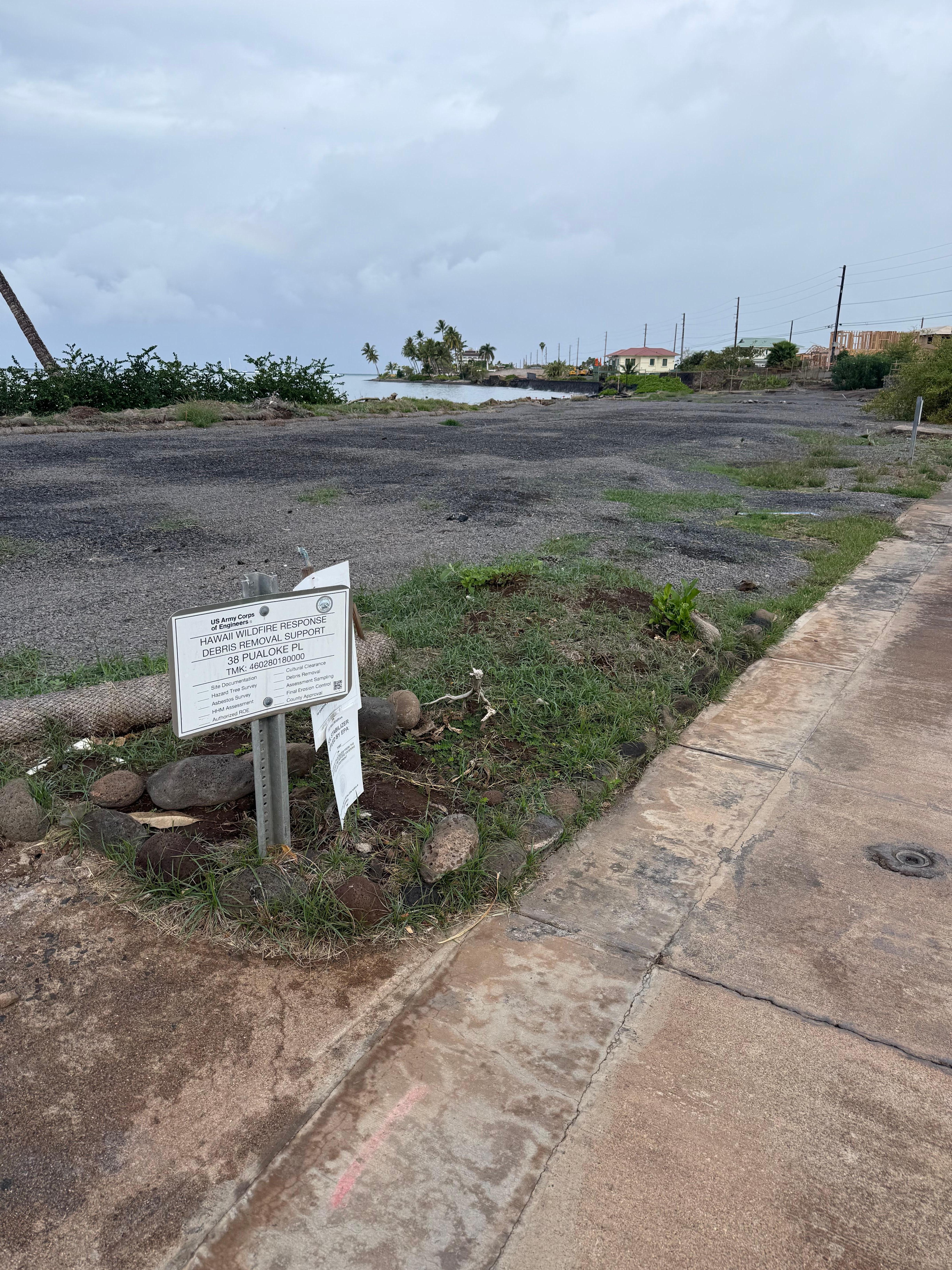 Sad empty lots viewed from back patio. 