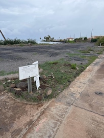 Sad empty lots viewed from back patio.