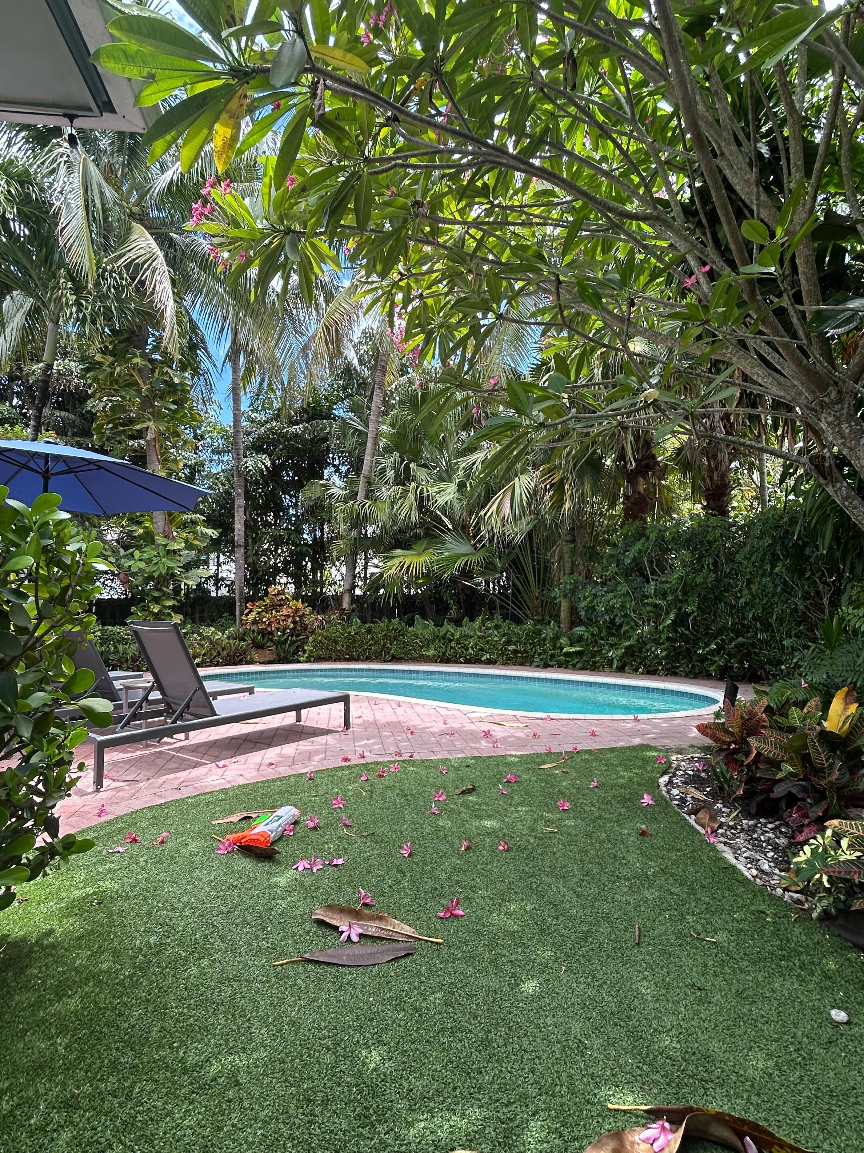 The back garden is attractive & has a nice pool.