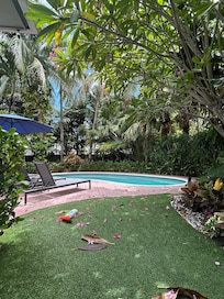 The back garden is attractive & has a nice pool.