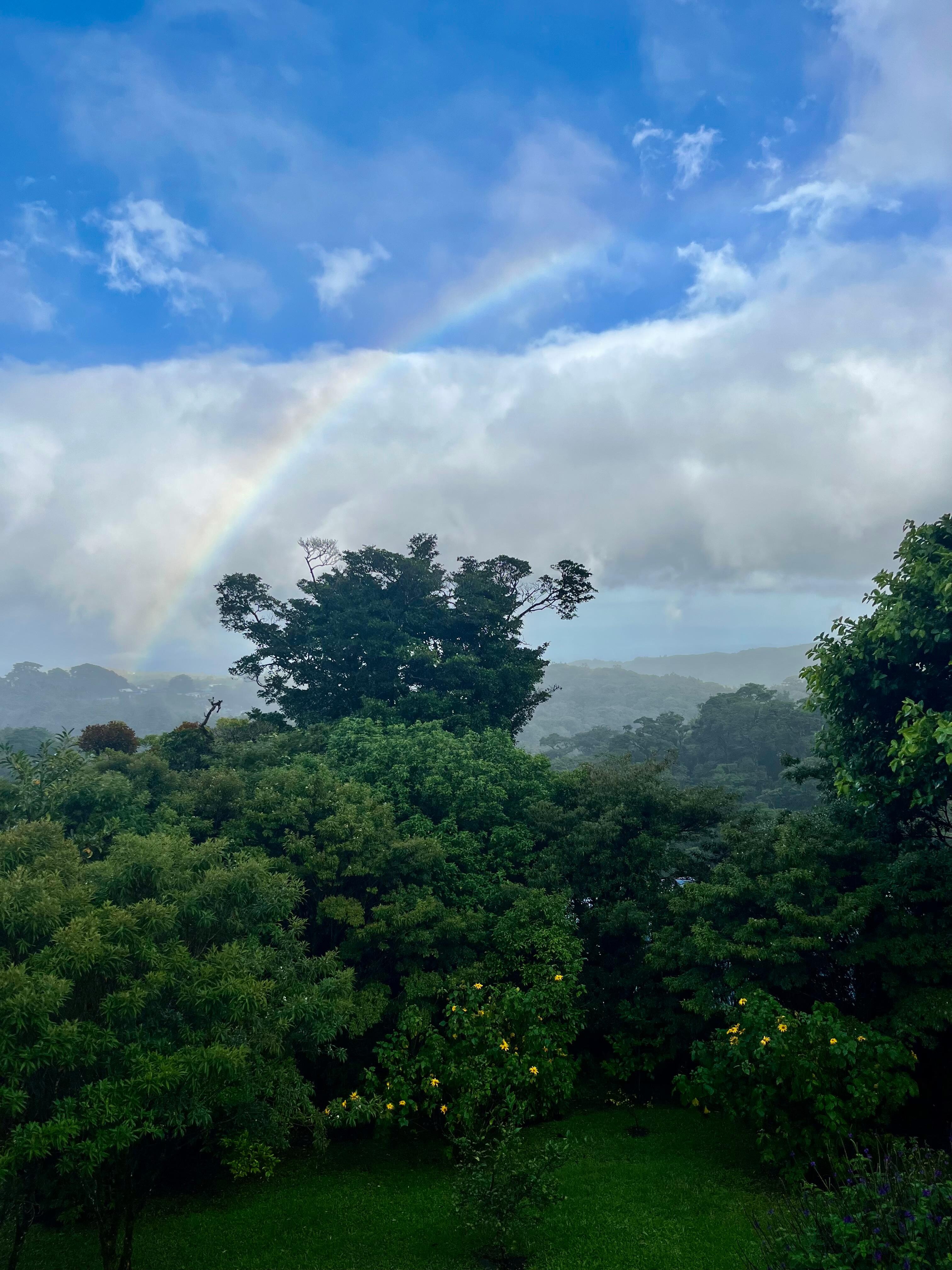 View from balcony