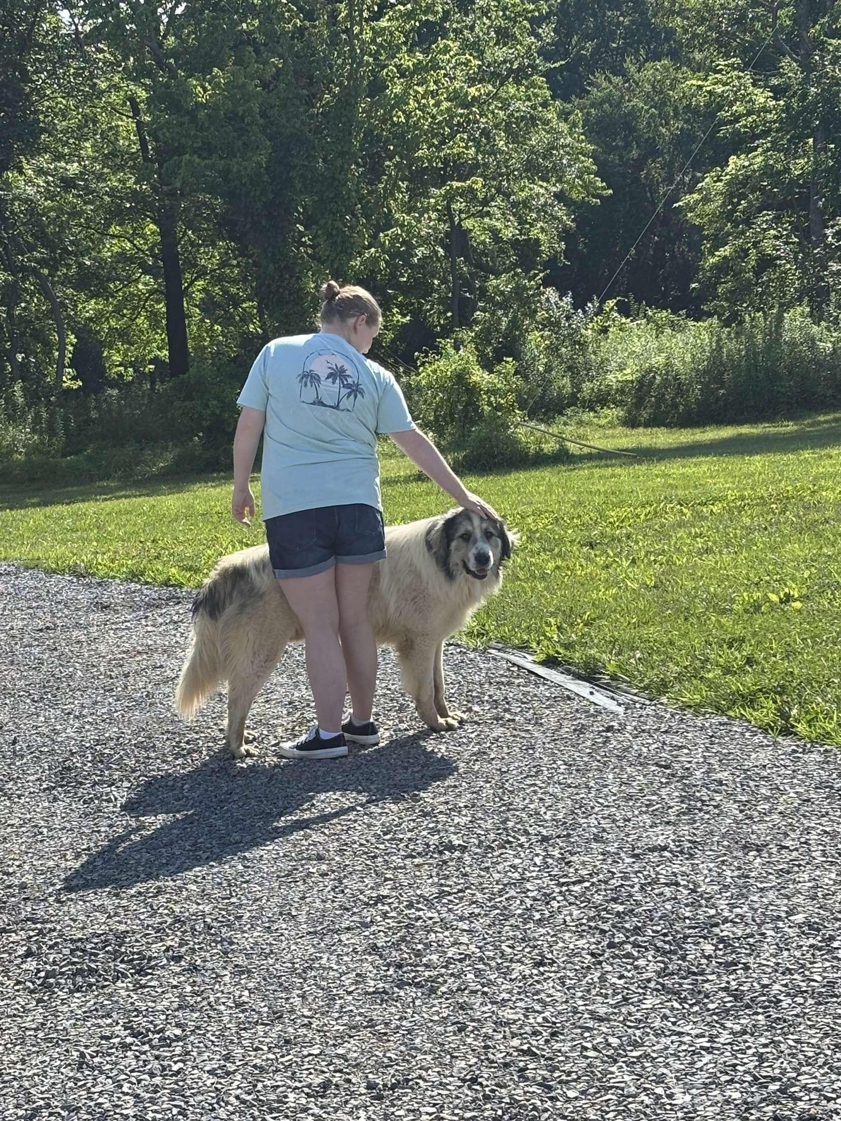 Hank kept asking for pets anytime he saw me