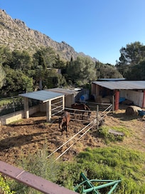 Next door to an equestrian school