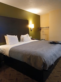 The bedci. The room.