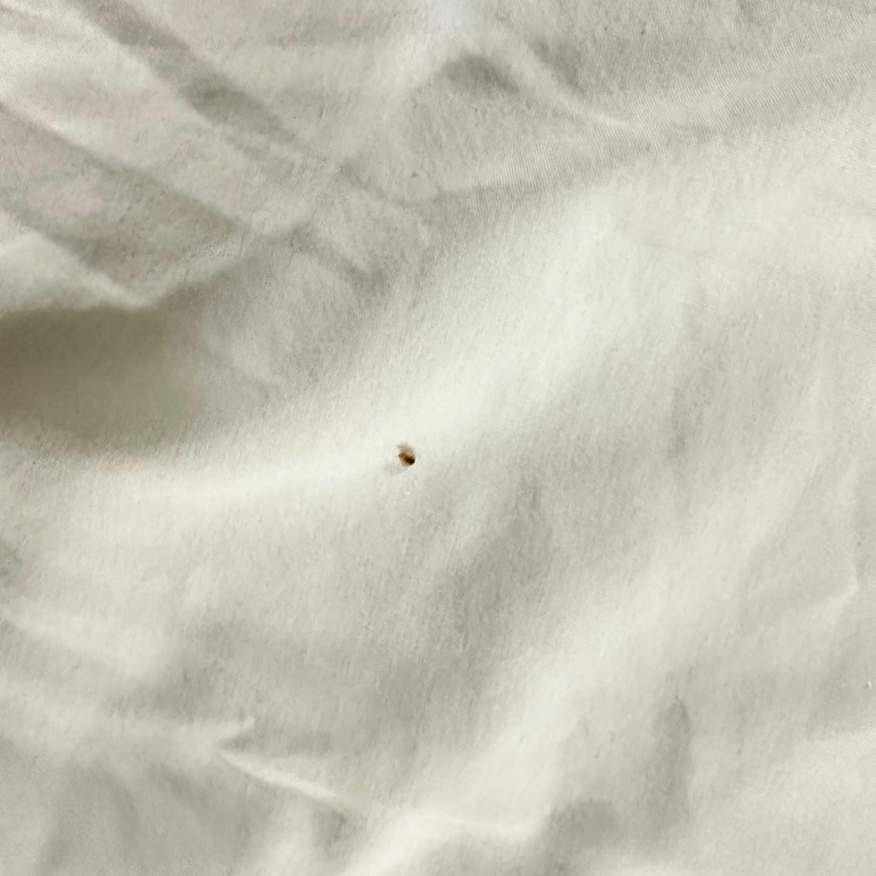 Bed Bug just finished gorging on my arm