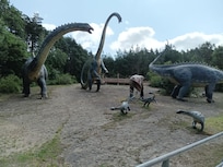 Dino-Park in Münchehagen nicht weit weg.