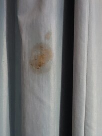 I believe this was blood, I reported this and I never received a return call or even an apology.