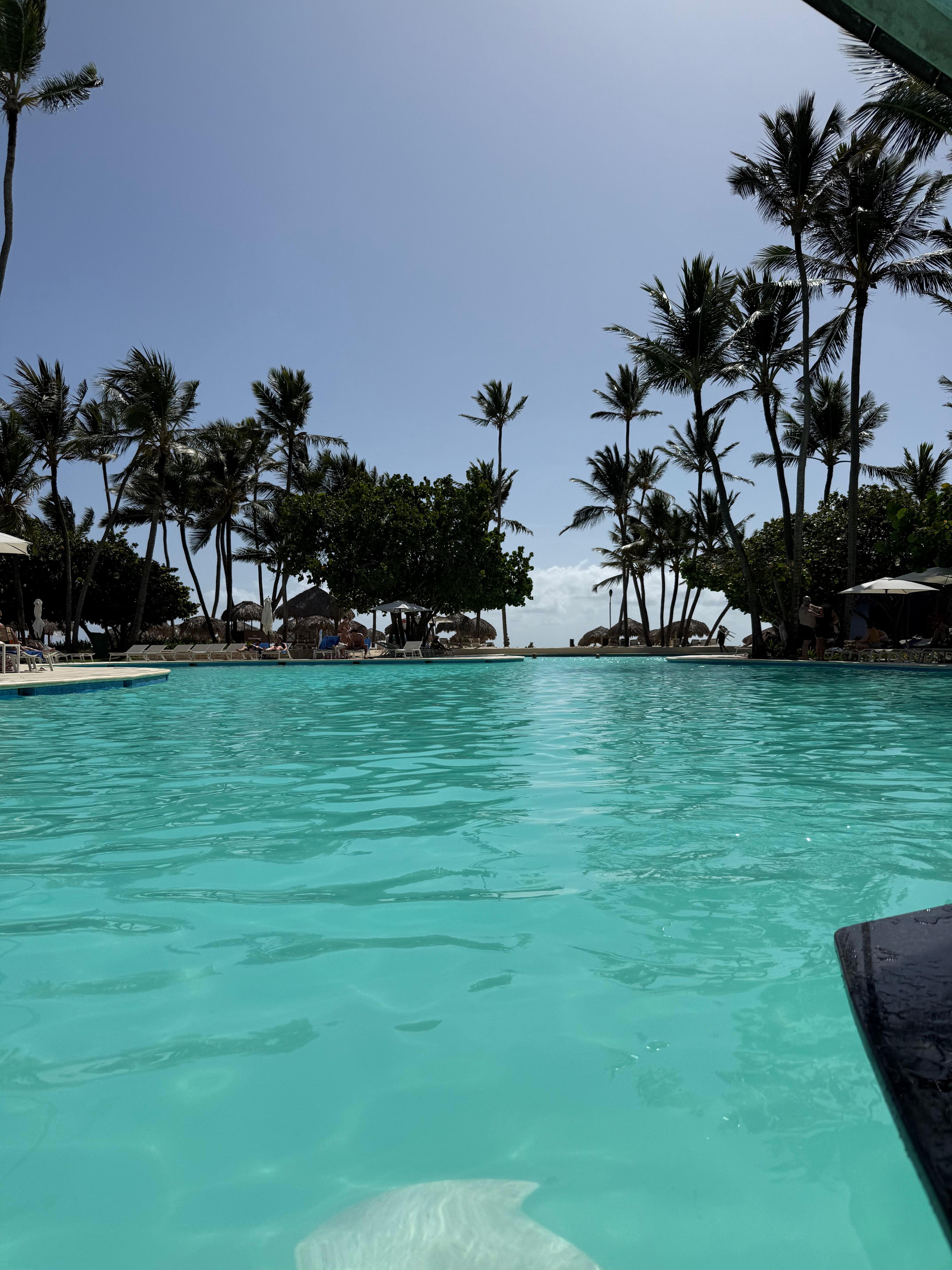 Pool with bar