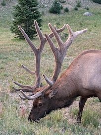 Grand Lake side of Rocky Mountain National Park.