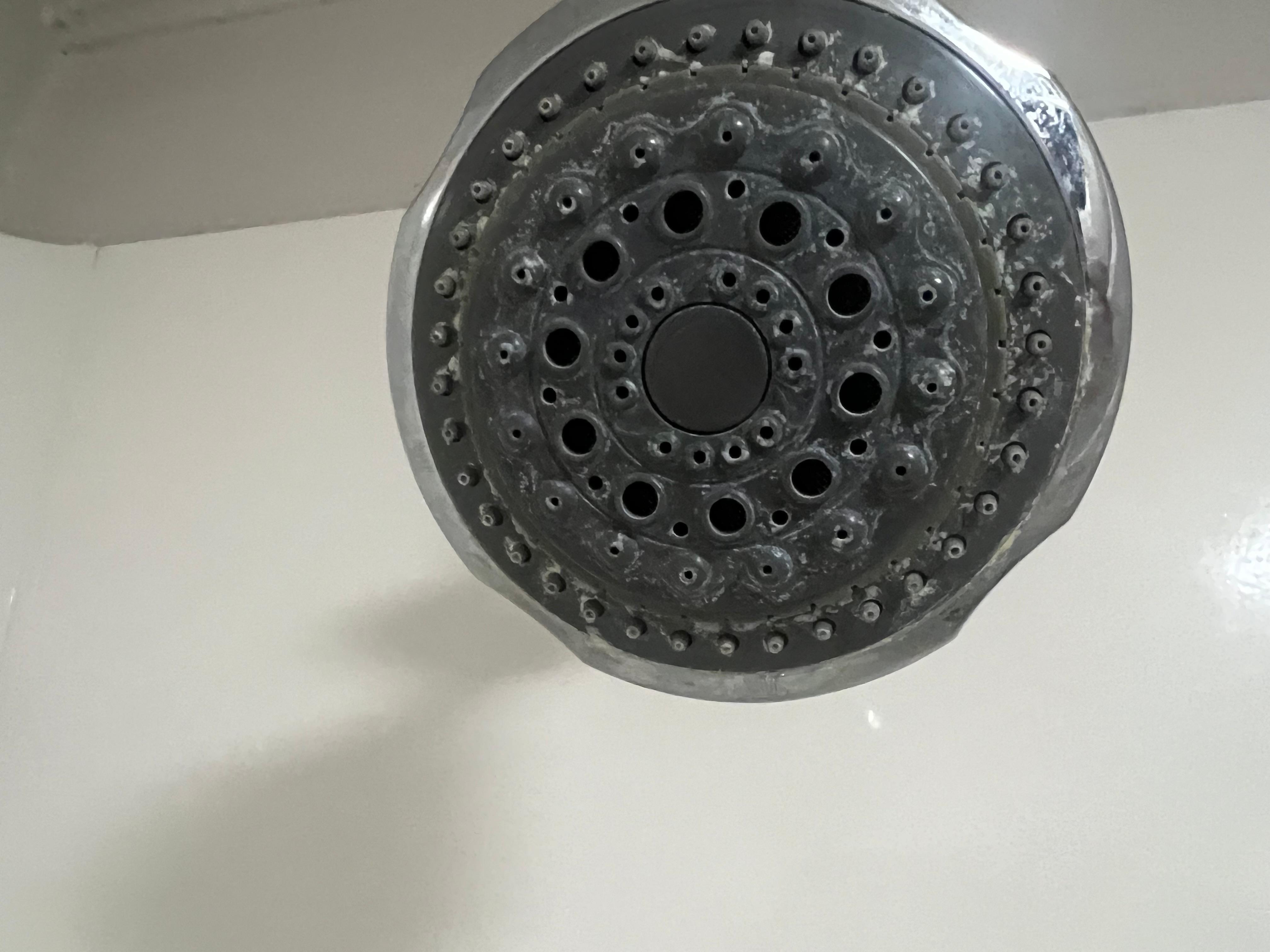 Shower head 