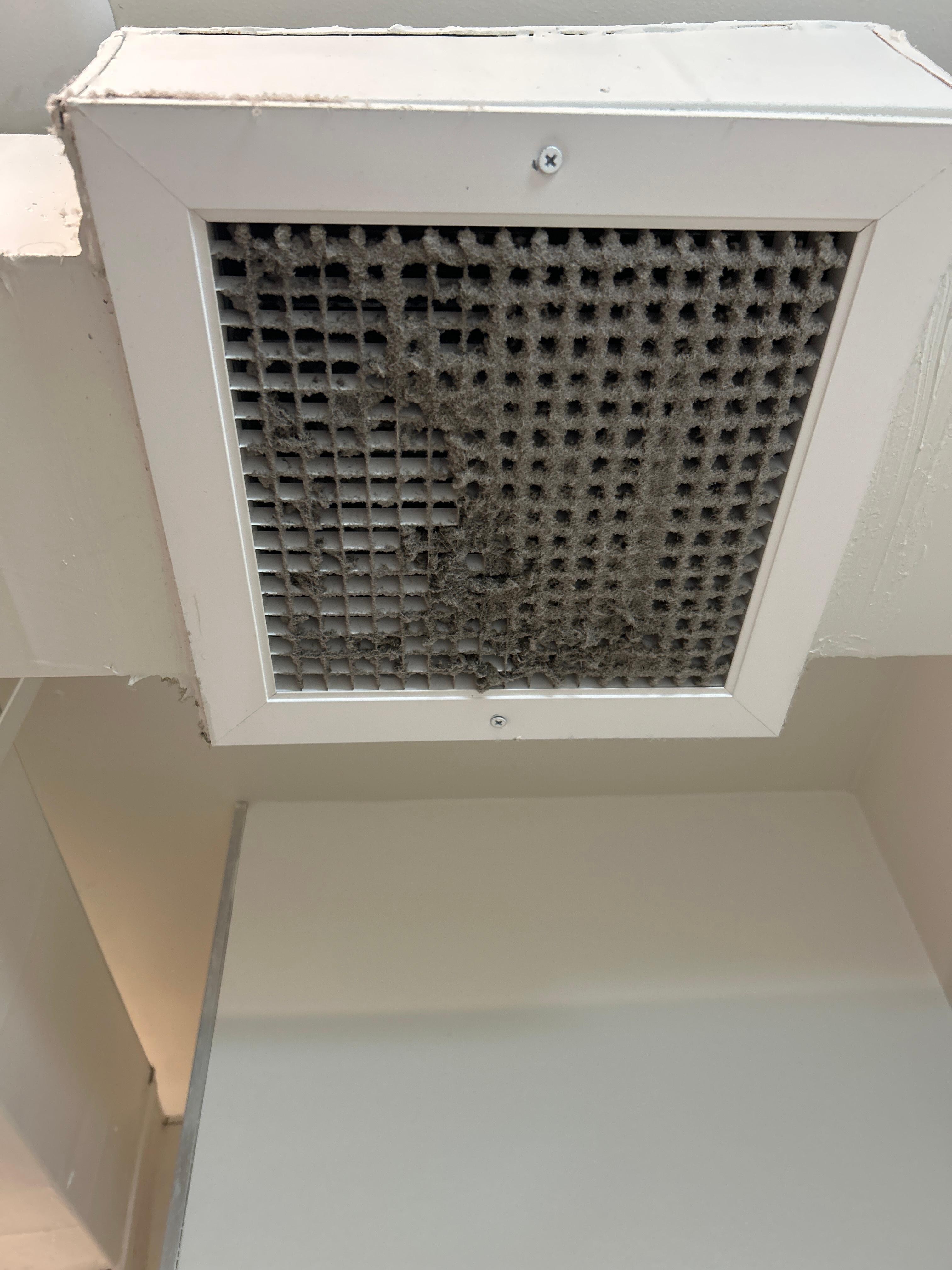 Bathroom vent 