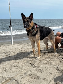 Nikki on crab lookout.