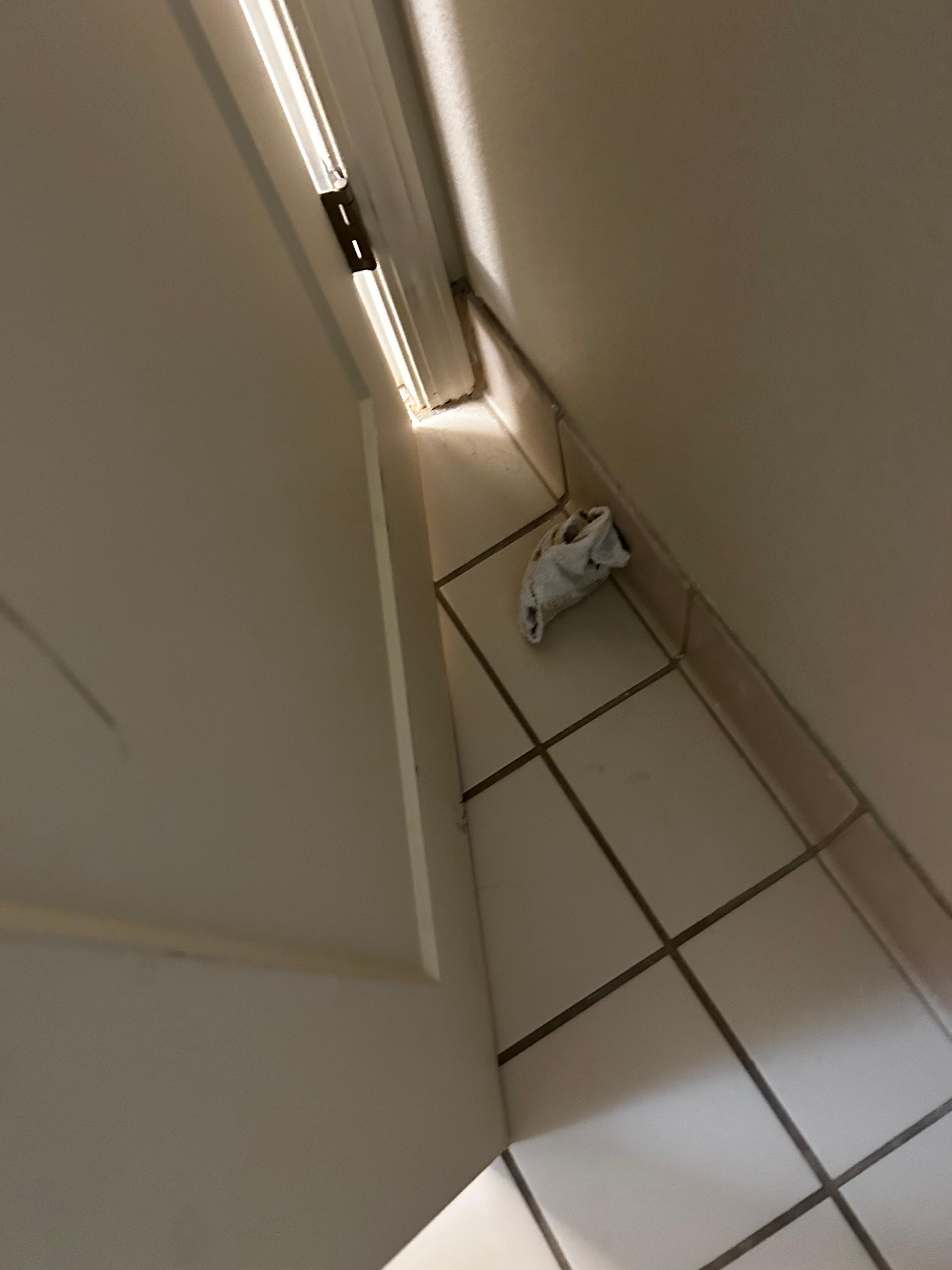 Dirty cleaning rag left in bathroom